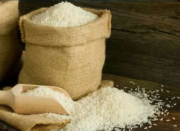تصویر 1 از قیمت خرید برنج طارم محلی کشت دوم با فروش عمده